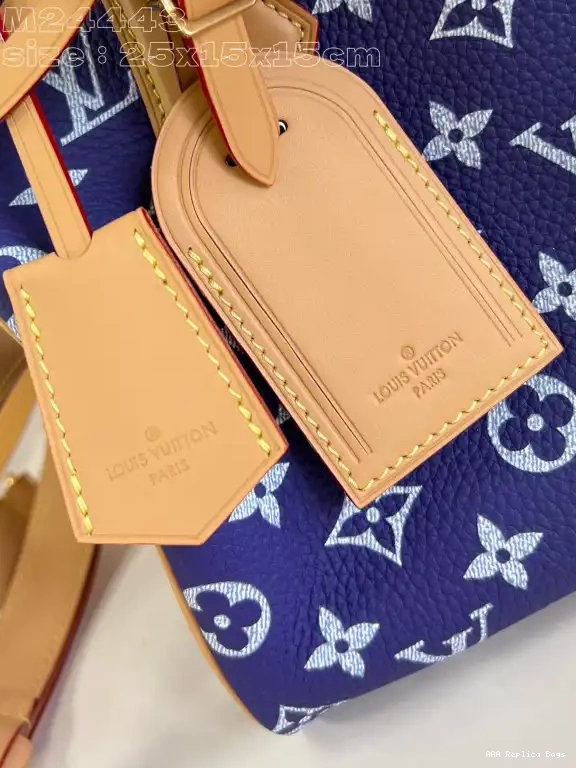 Aaa replica bags Vuitton 25 SPEEDY Louis 0603